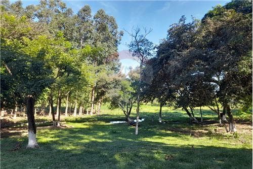 En venta amplia propiedad de 8 has con arroyo