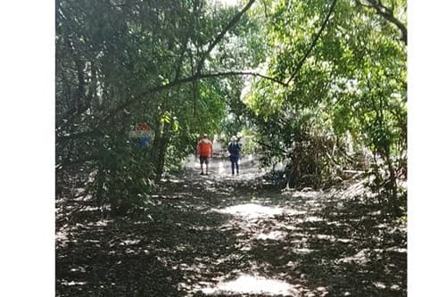 Campo de 25 ha-ayolas, misiones, foto 5