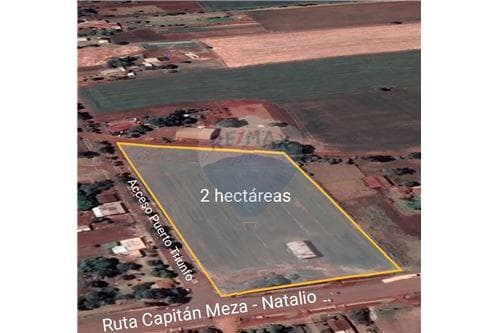 De terreno de 2ha en acceso a puerto triunfo — foto 2