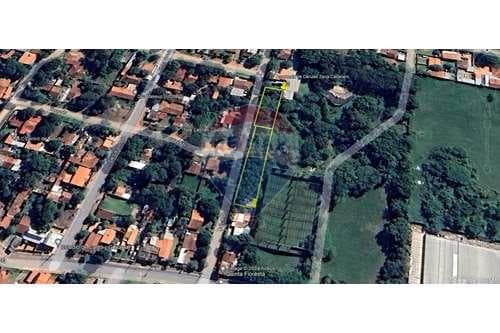 2 terrenos juntos en Luque — foto 4