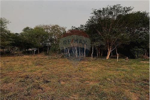 Oportunidad de inversion terreno con 1 hectarea — foto 5