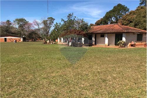 Ahora! Campo de 10 ha sobre ruta 02 con depositos — foto 3