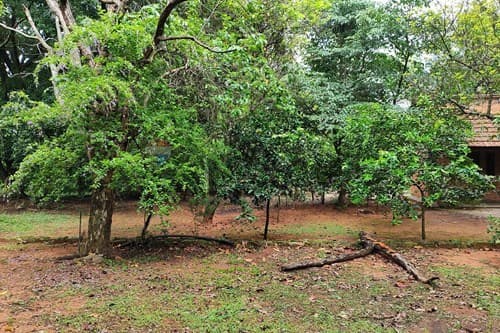 Terreno en venta aregua bº zona kokue guasu, foto 4