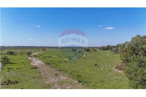 Vendo estancia 1040 hectareas en arroyos y esteros