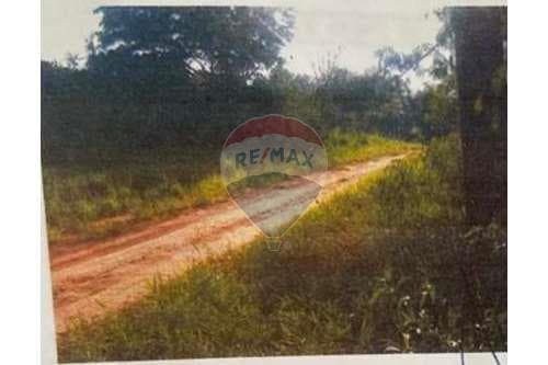 Terreno de 5has en santaní, foto 5