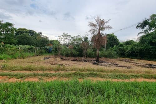 Terreno en Luque - zona rakiura — foto 5