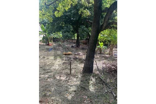 Terreno en Caacupe, foto 1