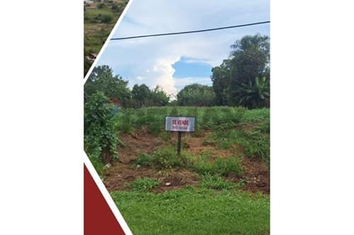 Terreno en Itakyry, zona rural con gran expacion — foto 3