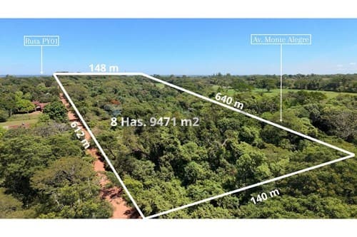 terreno de 8 has. 9.471 m² en Coronel Bogado, foto 4