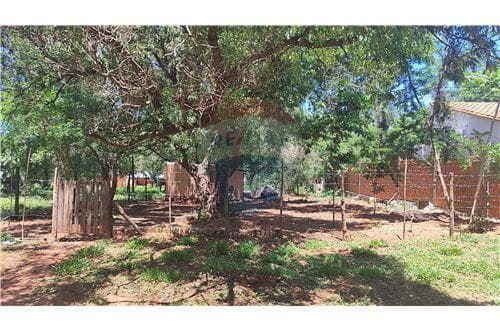 Terreno en venta en cañada garay -Luque — foto 5