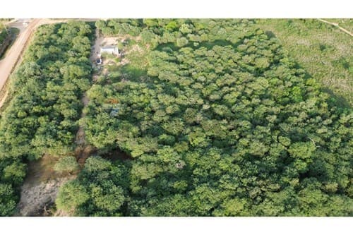 Terreno Comercial de alto Potencial — foto 2