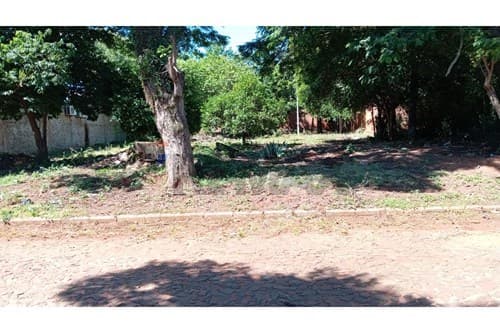 Terreno en la paloma - canindeyú — foto 3