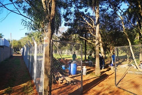Terreno amplio en Mora Kue, Luque de 1.555 M2, foto 2