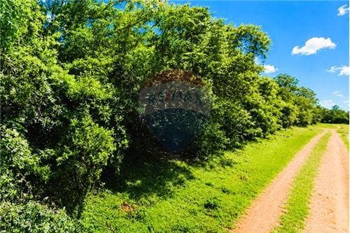 Terreno en las hortensias –barrio san miguel altos, foto 4