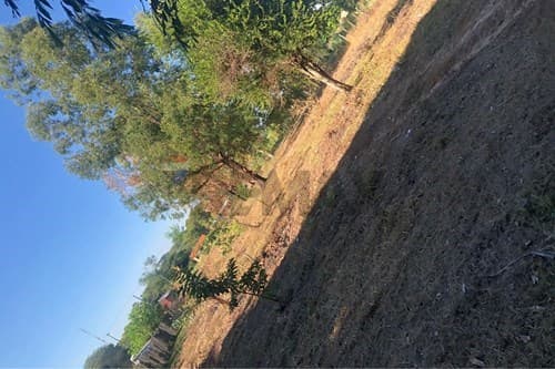 terreno en el Chaco - Benjamín Aceval — foto 2