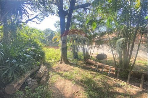 Terreno en venta – Zona Isla Verde,Luque — foto 4