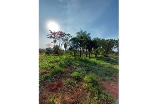3 terrenos en ypané — foto 3