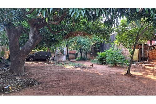 Terreno en lambare zona hiperpueblo — foto 3