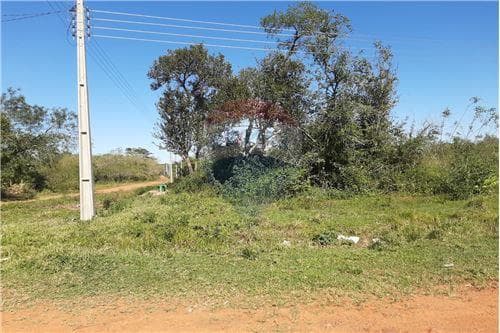 Terreno zona Luque aregua — foto 3
