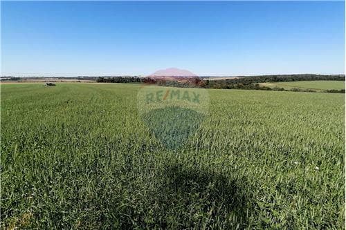 En venta terreno de 35 has. 8871 m2 en itapúa poty — foto 4