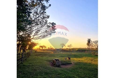 35 Has listas para producir en San Ignacio — foto 3