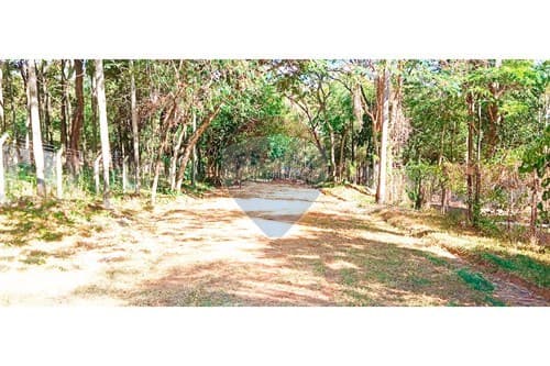 2.000 m2 terreno en san ber – z.anfiteatro — foto 3