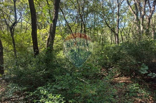 "Spacious 2052 m2 Land in Cocue Guazú for Sale!" — foto 5