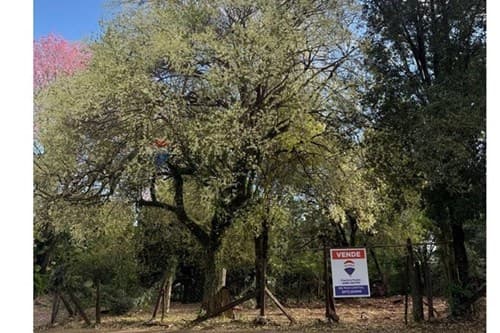Terreno en Barrio Pacu cua..!, foto 3