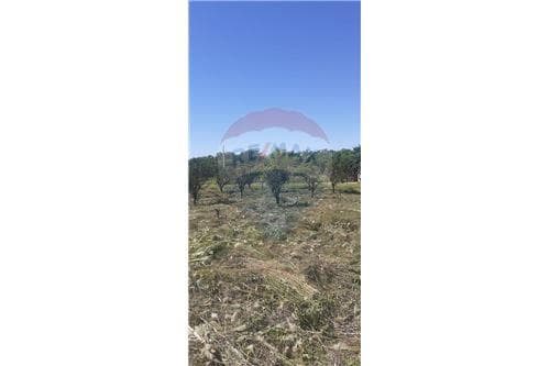 en Venta Terreno en San Juan del Parana — foto 1