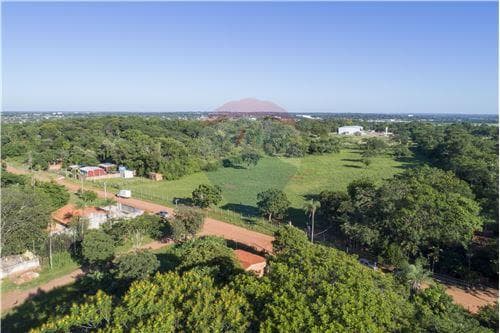 En venta – terreno de 3 hectáreas en Luque