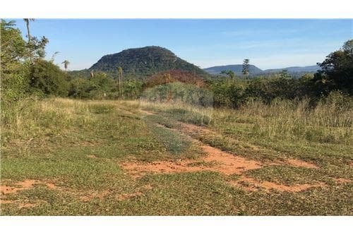 Terreno en Venta — foto 2
