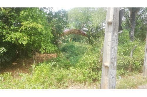 Terreno en venta 734 m2 - ruta 2 km 24-itagua — foto 1
