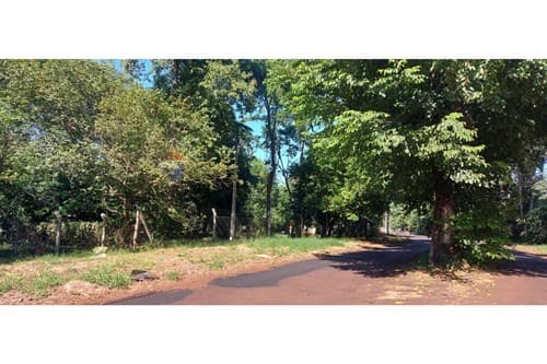 En venta terreno de 9.945 m2 en km 3 Monday — foto 5