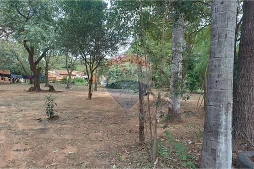 Casa con terreno en Ypane — foto 3