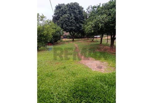 Casa a precio de terreno en Luque-cañada — foto 2