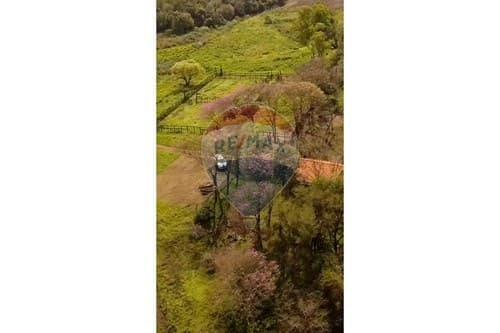 Campo de 80 hectáreas en San Pedro del Paraná — foto 2