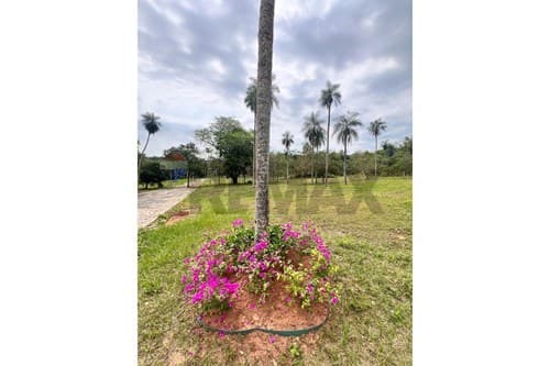 terreno en San Bernardino — foto 2