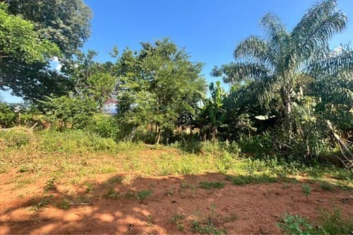 Terreno en limpio — foto 3