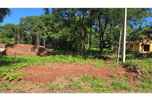 Vendo-terreno-paraguari a metros de la fruteria — foto principal