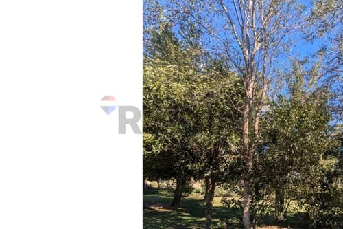 Hermoso terreno ideal para quinta o inversion, foto 3