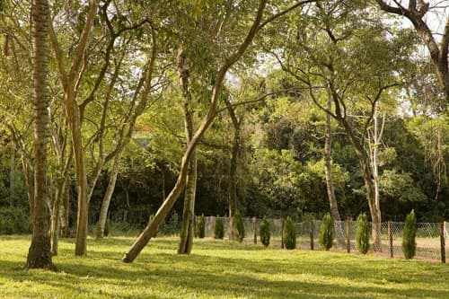 Aregua forest country residence — foto 2
