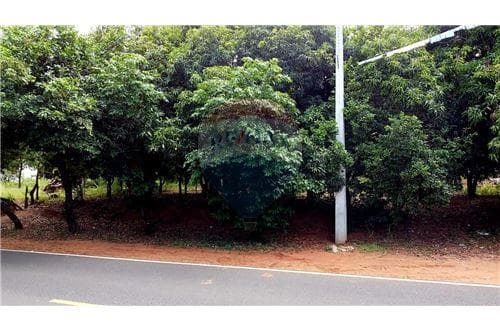 Terreno - Venta - Paraguay Cordillera NUEVA COLOMB — foto 2