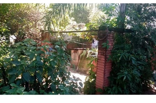 Terreno en Barrio Herrera: ¡Invierte en Asunción! — foto 5