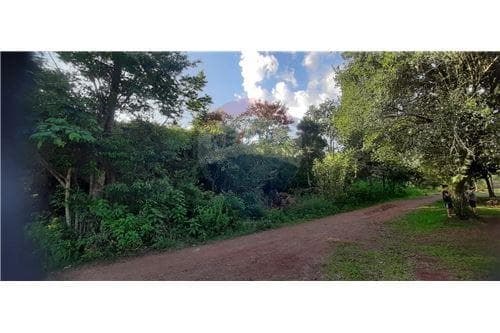 En Venta Terreno de 1,5 Has. en el Barrio Chaipé, foto 4