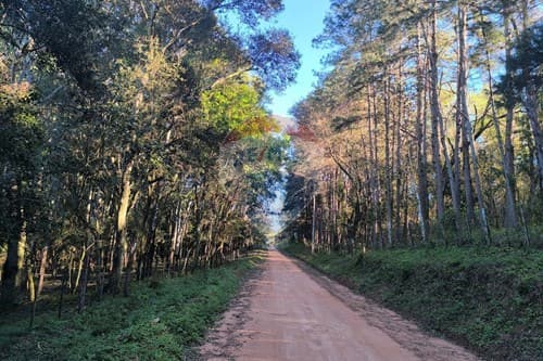 Terreno en eusebio ayala — foto 5