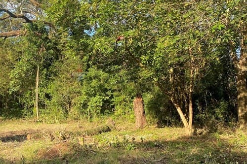 Terreno En Venta, foto 4