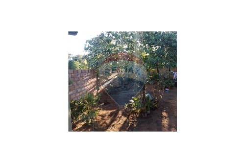 Casa en Capiatá Barrio Arrua — foto 2