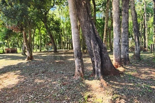 Terreno Ideal en Capitán Miranda, Itapúa, 360m²
