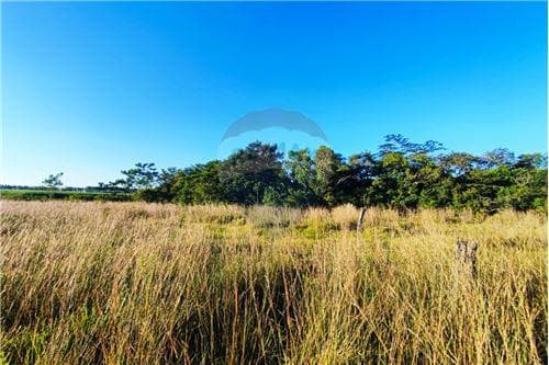 Terreno, 7 lotes ideal para reventa o casa quinta — foto 5