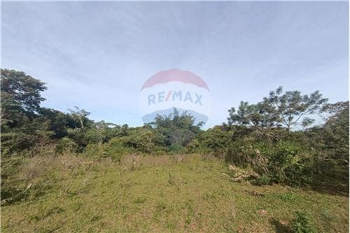Campo de 8 hectáreas con arroyo en San Estanislao